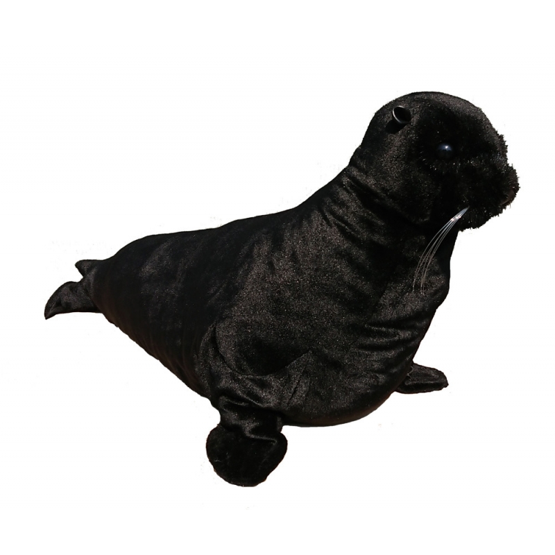 BLACK SEA LION