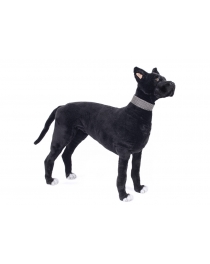 STANDING BLACK GREAT DANE DOG