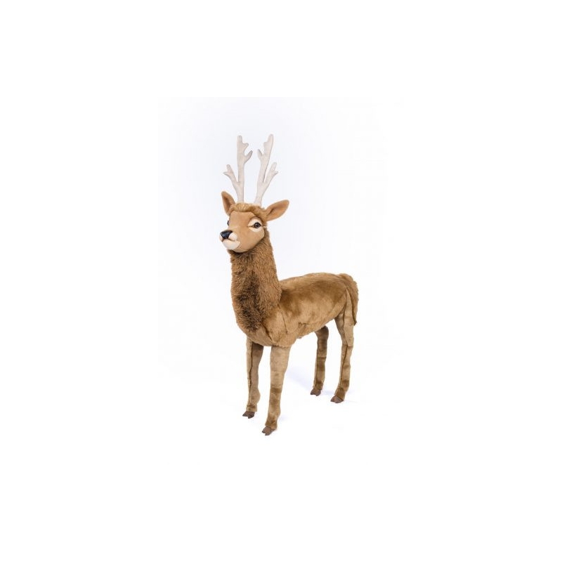 Standing natural deer