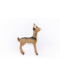 Standing natural fawn