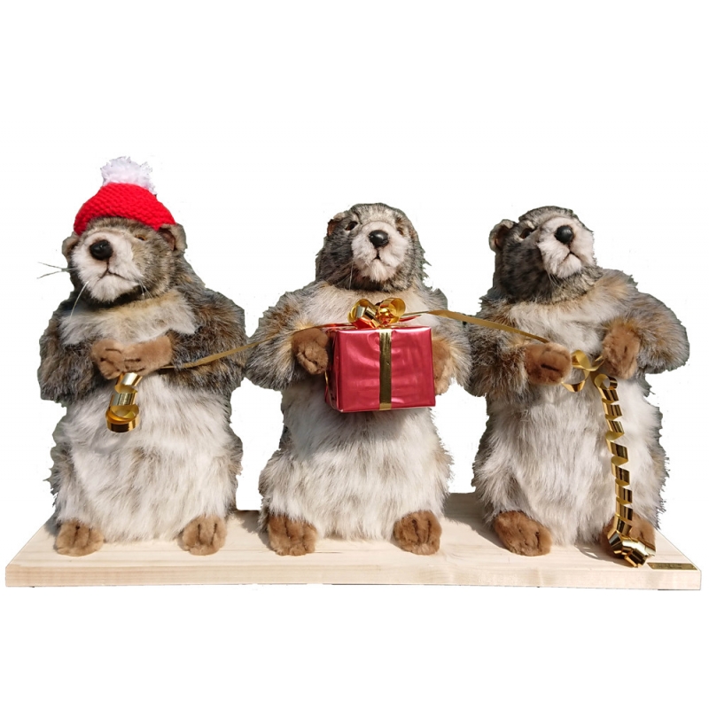 Three Christmas marmots