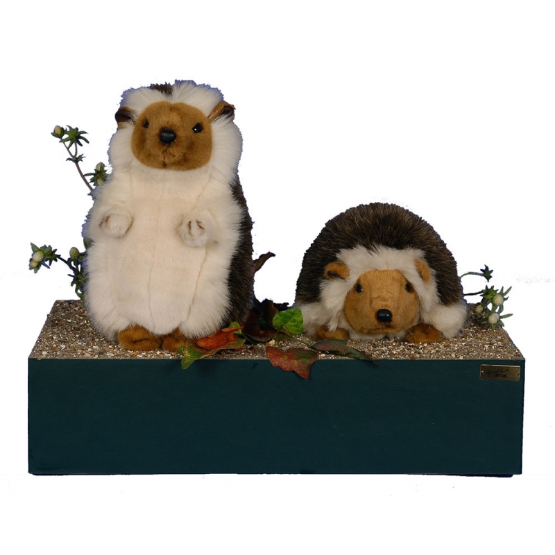 TWO HEDGEHOGS