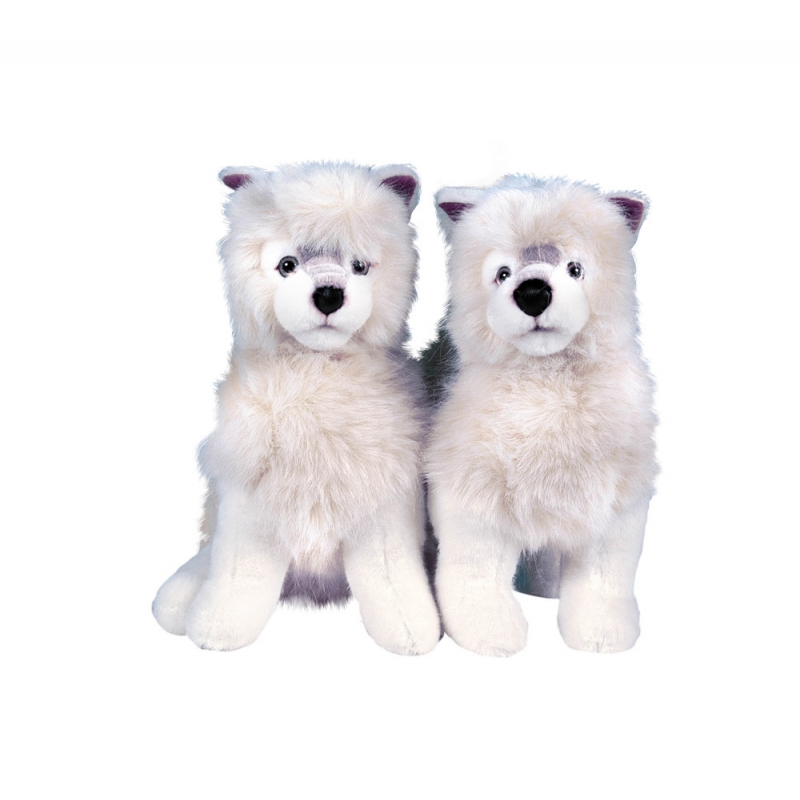 TWO WHITE CUBS