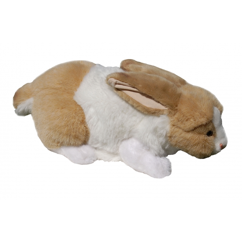 LAPIN COUCHE