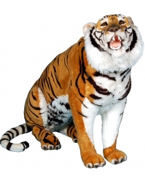 TIGRE ASSIS