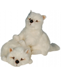 TWO WHITE BABY FOX