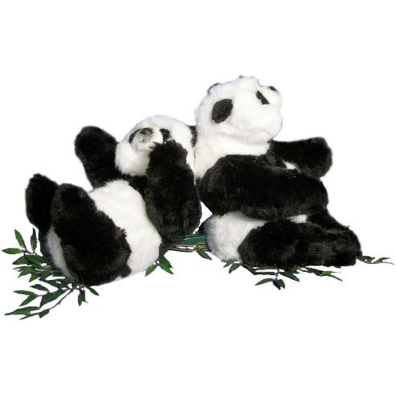 Two little panda