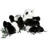 Two little panda