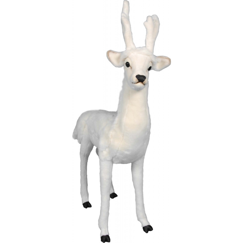 Standing white deer
