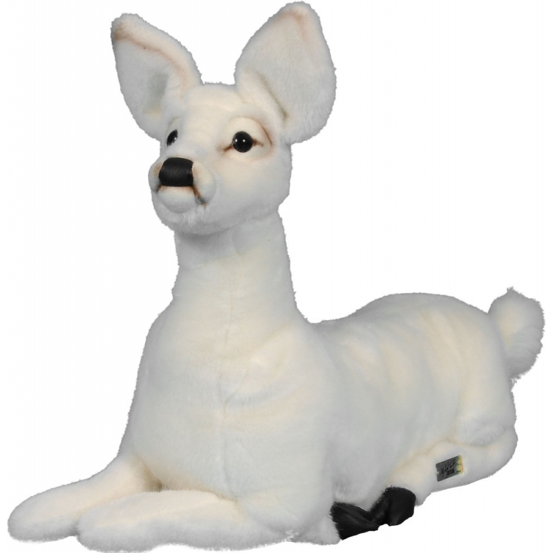 Lying white fawn