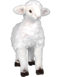 Standing lamb