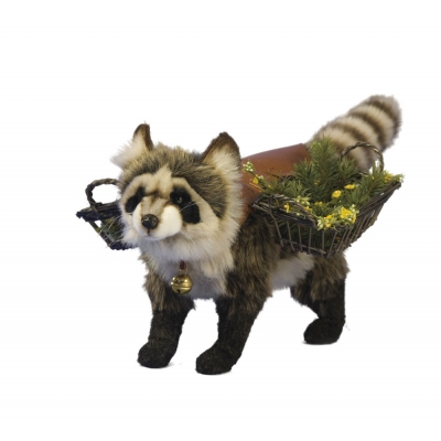 RACCOON