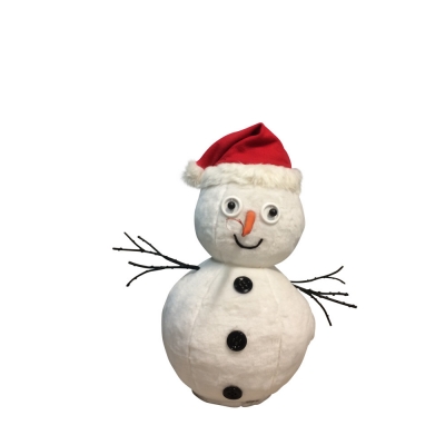 PETIT BONHOMME DE NEIGE