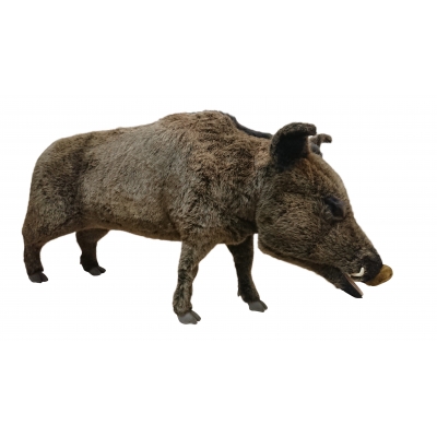 SANGLIER