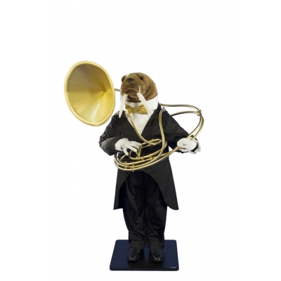 WALRUS PLAYING THE SOUBASSOPHONE