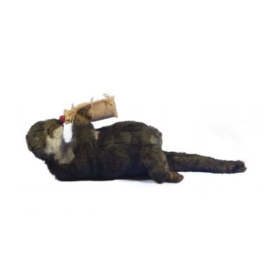 LOUTRE BOUTEILLE