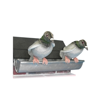 DEUX PIGEONS
