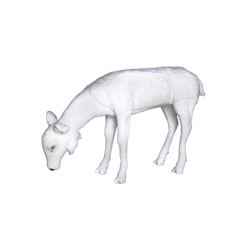 EATING WHITE HIND