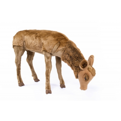 Doe head up natural colour