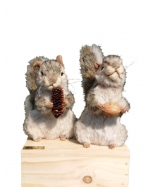 Two standing squirrels