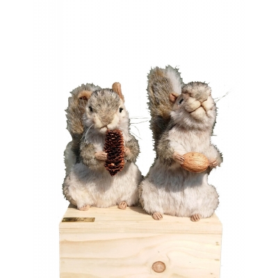 Two standing squirrels