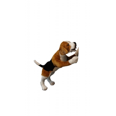 BEAGLE DOG