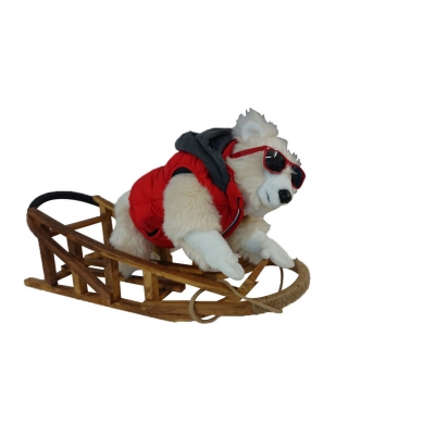 White Leonardo with sledge