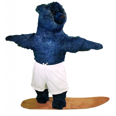 LEON BLEU CLAIR SNOWBOARD