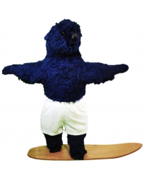 Blue Leon snowboard