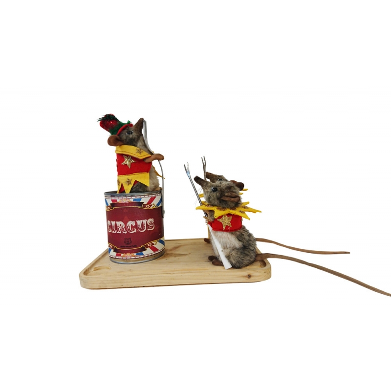 MICE WHISK CIRCUS