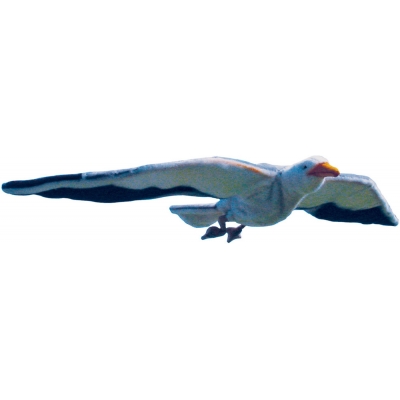 MOUETTE