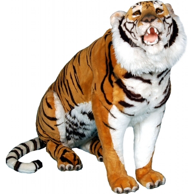 TIGRE ASSIS