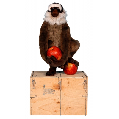 SINGE DEBOUT POMME