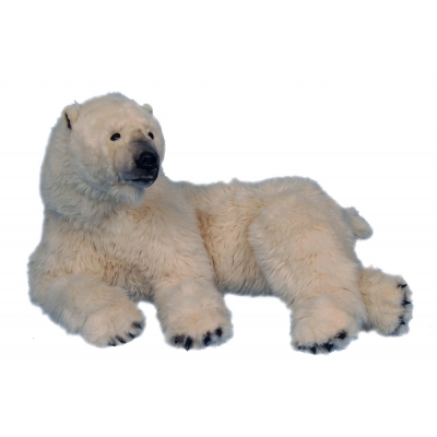 LOOK-OUT POLAR BEAR