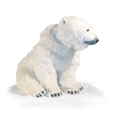 OURS POLAIRE ASSIS