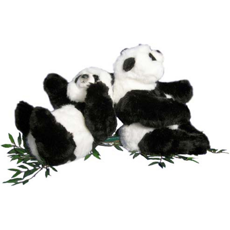 pandas - Two little pandas