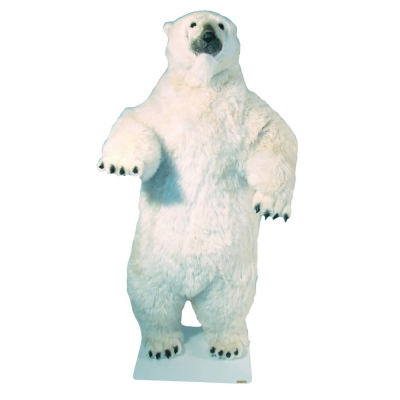 OURS POLAIRE DEBOUT