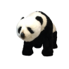 Standing Panda