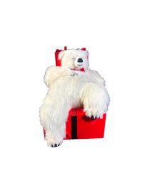 WHITE LEON SLEEPING ON THE...