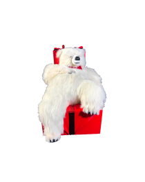Sleeping White Leon Bear on Gift Pack