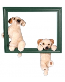 CHIENS ACROBATES (GOLDEN) OCCASION