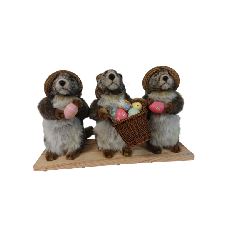 Three Easter marmots
