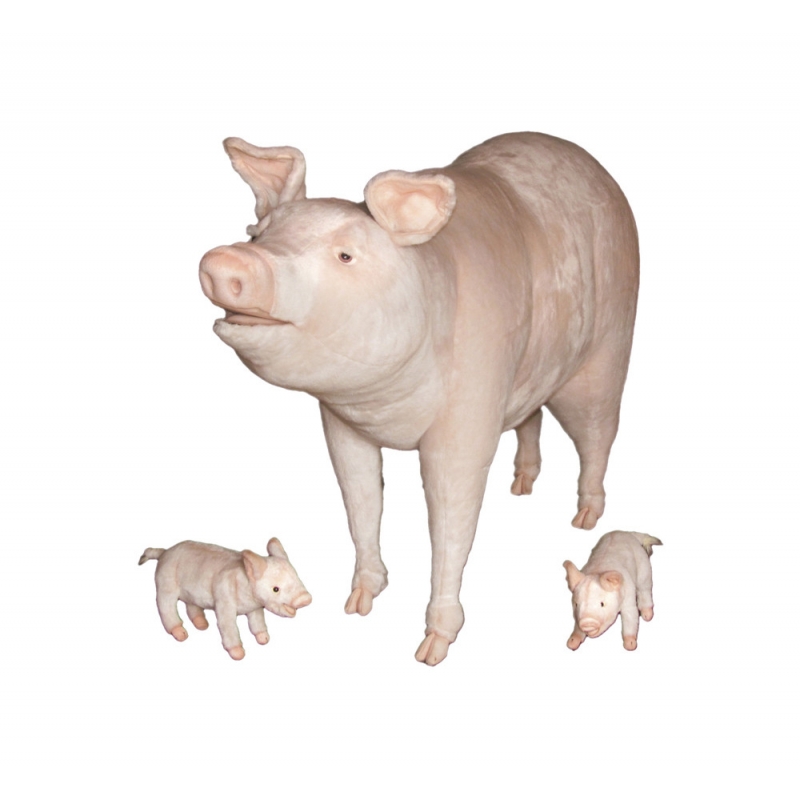 FAMILY PIG