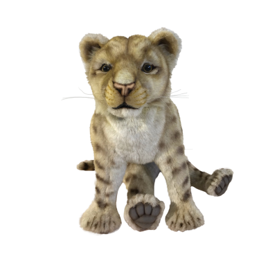 LIONCEAU ASSIS