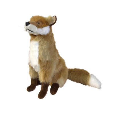 RENARD ROUX ASSIS