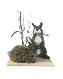 RABBITS WITH LAVENDER