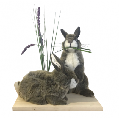 RABBITS WITH LAVENDER