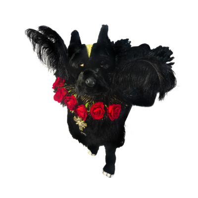 CHIEN DOGUE NOIR DEBOUT