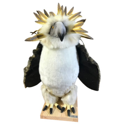PHILIPPINE EAGLES