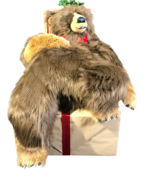 Sleeping Brown Leo Bear on Gift Pack